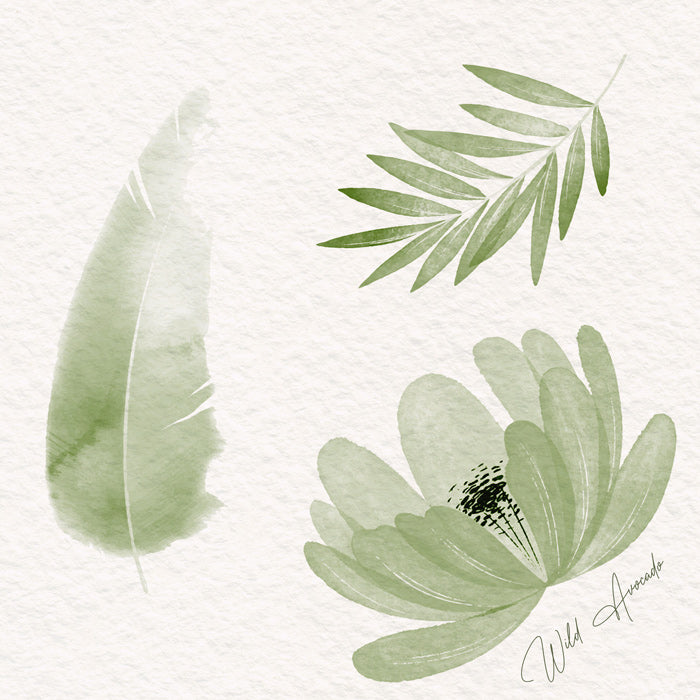Wild avocado Aquarell Color