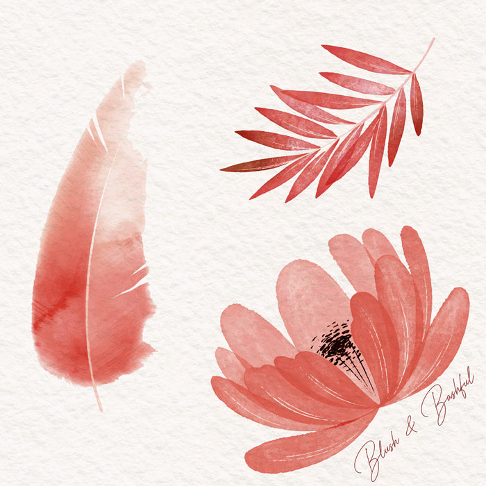 Blush & Bashful Aquarell Farbe