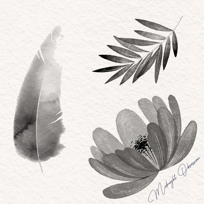 Midnight Obsession Aquarell Color